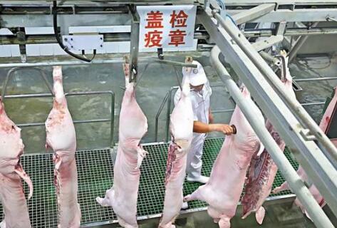 生猪屠宰检疫规程